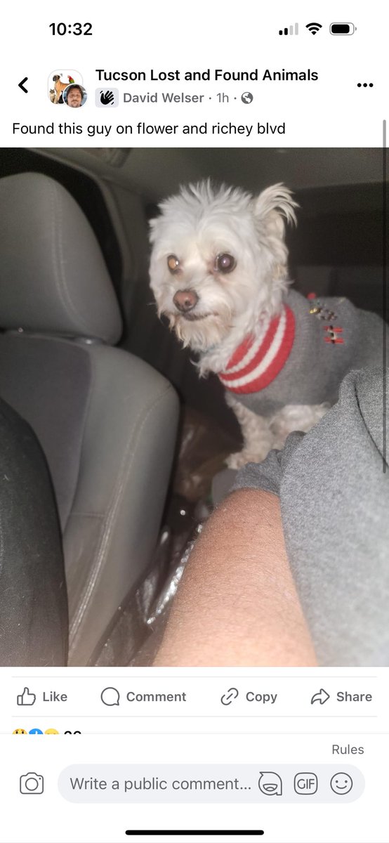 Tucsonlostpets's tweet photo. @ariana_gianessa @whatsuptucson Someone found him https://t.co/Y0IE6SQgs7