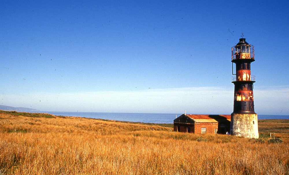 periodistan_'s tweet photo. Este paisaje está en la Isla de Año Nuevo, Tierra del Fuego; un lugar perfecto para un día como hoy.

Vamos a necesitar más que un faro para orientarnos en un año que se avizora muy oscuro. Pero siempre se puede: con alegría, coraje y sin perder la fe.

¡Feliz 2024 para todo/as! https://t.co/6djWNDWXri