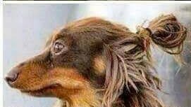 botttomlesspit's tweet image. KKKKKKKKKKKKKKKKKKKKKKKKKKKKKKKKKKKKKKKKKKKKKKKKKKKKKKKKKKKKKKKKKKKKKKKKKKKKKKKKKKKKKKKKKKKKKKKKKKKKKKKKKKKKKKKKKKKKKKKKKKKKKKKKKKKKKKKKKKKKKKKKKKKKKK