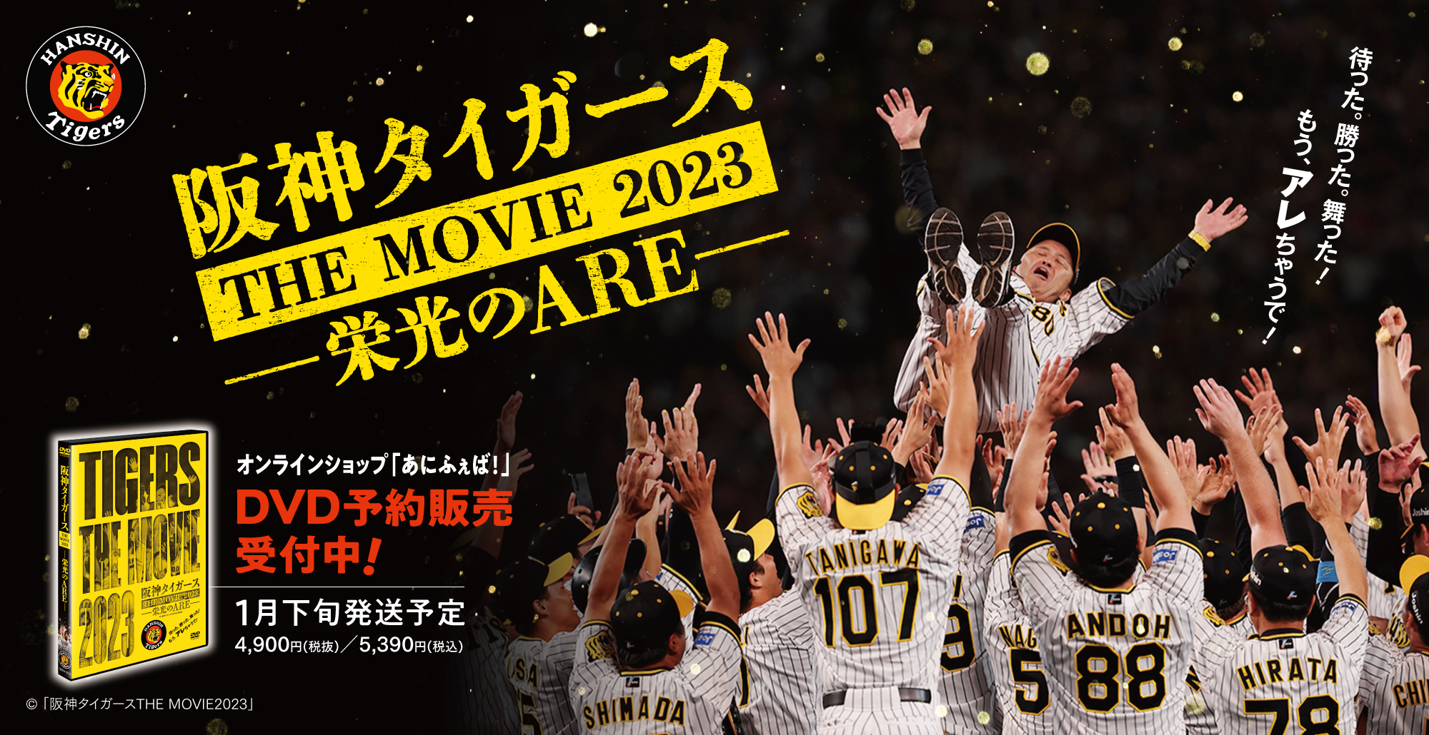 映画「阪神タイガースTHEMOVIE2023－栄光のARE－」公式【12月15日緊急 ...