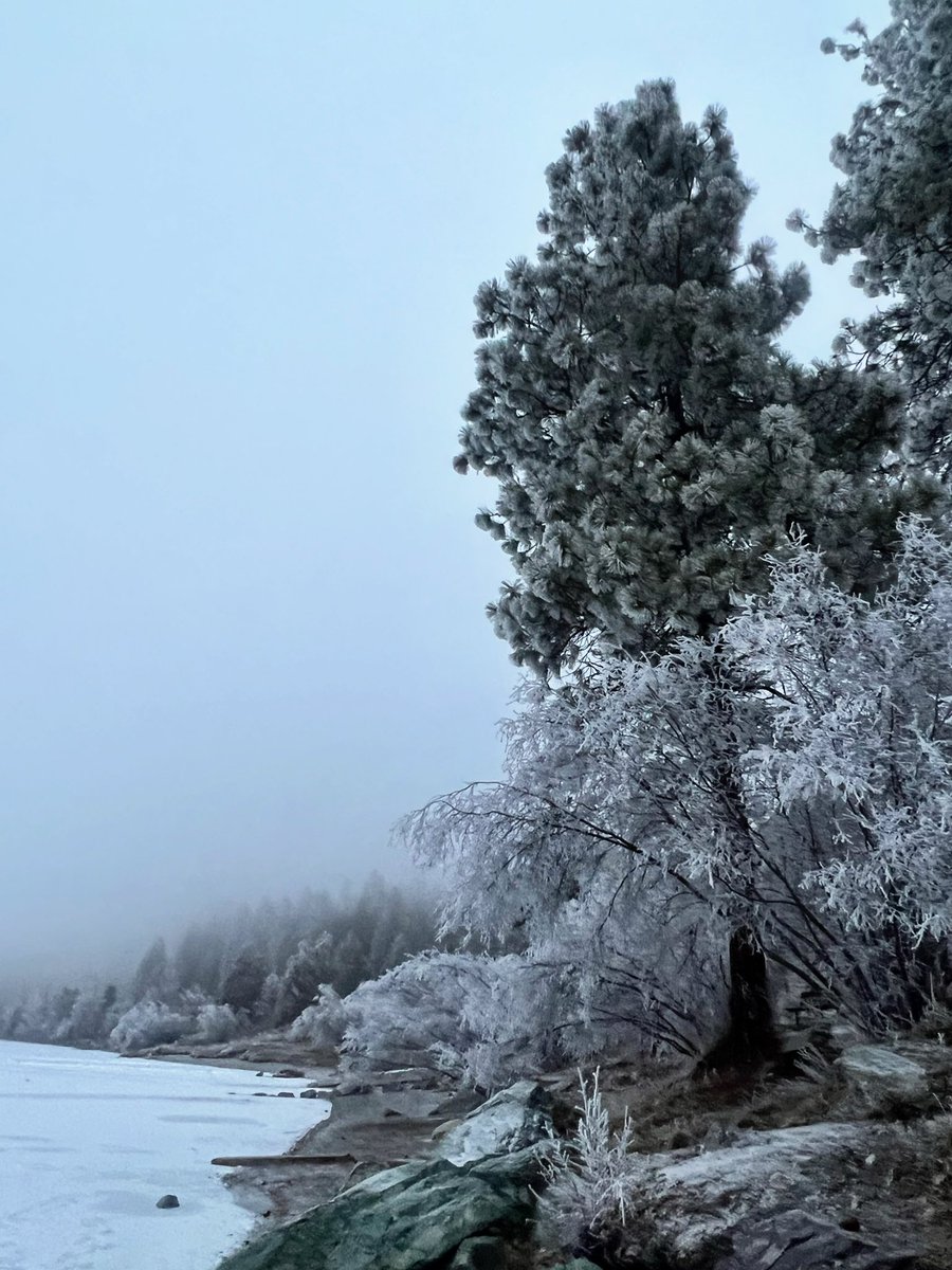 One last drive up to Foys Lake for 2023. It wasn’t as cold as it looks. It was in the upper 20s but very foggy. #winter <a href="/visitmontana/">Visit Montana</a> <a href="/Visit_Kalispell/">Discover Kalispell</a>