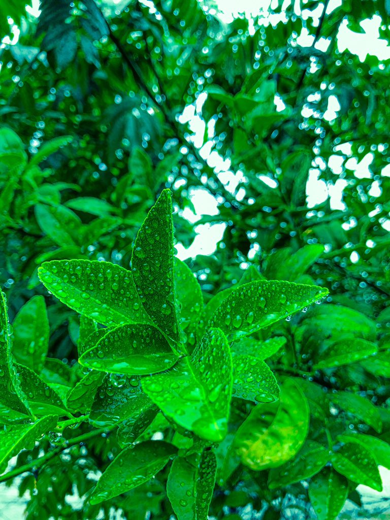 Dear Freinds
Happy New Year! 2024
 As we step into this fresh chapter, l take this moment to express my heartfelt gratitude for the year that has passed and the blessings we have received. I am truly thankful for the love, support, and cherished moments we have shared together