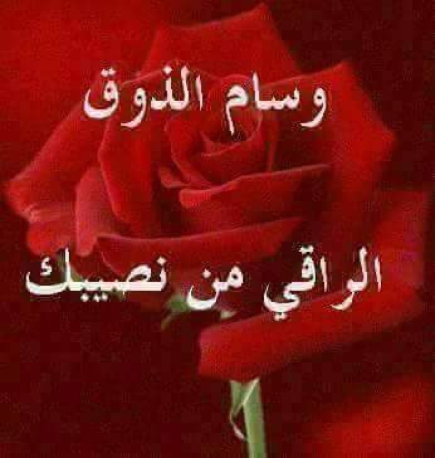 icuucant's tweet photo. @AlpacinoUK_ https://t.co/i9s0aeQgpc