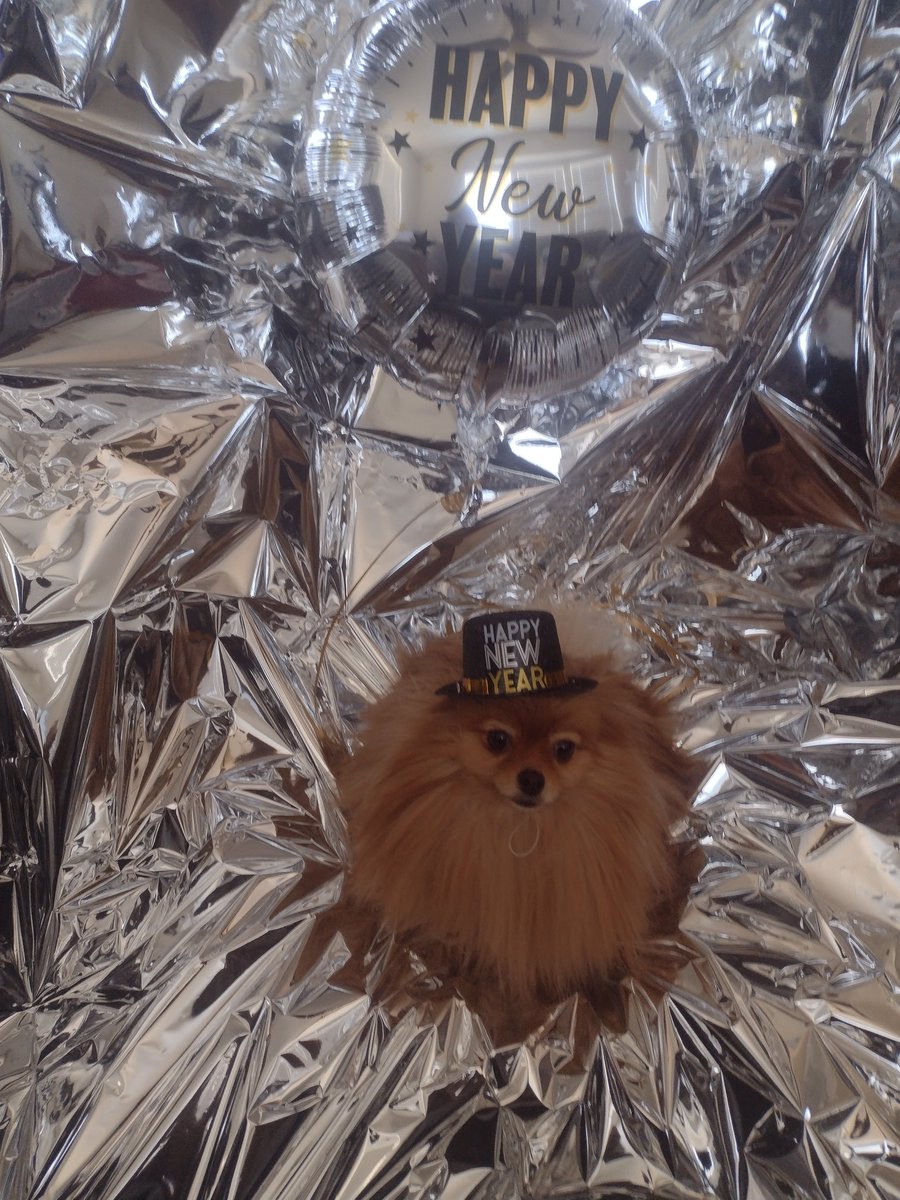 pumpkinthediva's tweet photo. Happy New Year!! https://t.co/cQYQdwGY0x