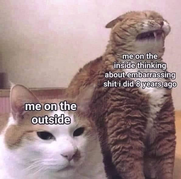 PostsOfCats tweet picture