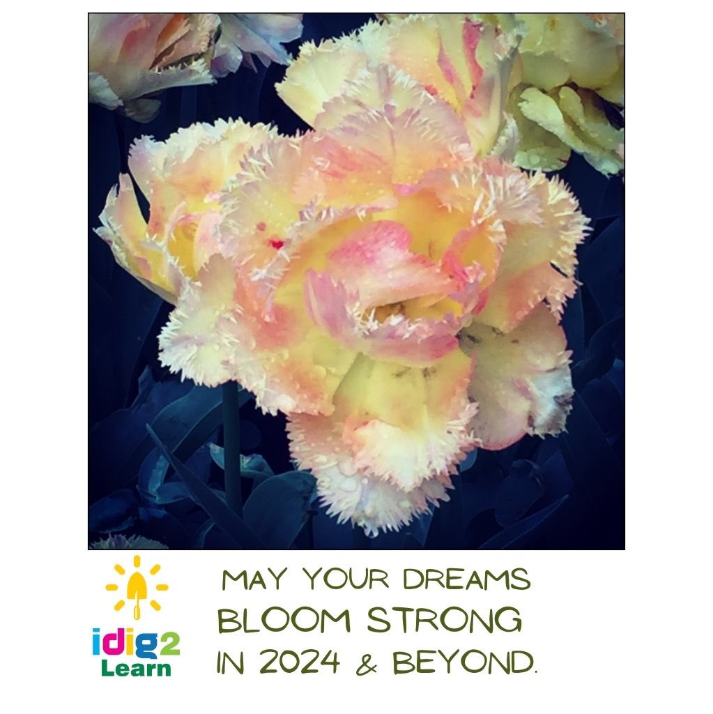 Thanks for making so many dreams come true in 2023 - we can’t wait to grow together in 2024!