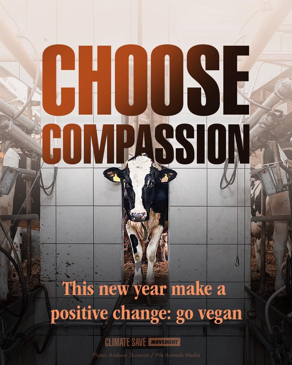 Los Angeles Animal Save tweet media