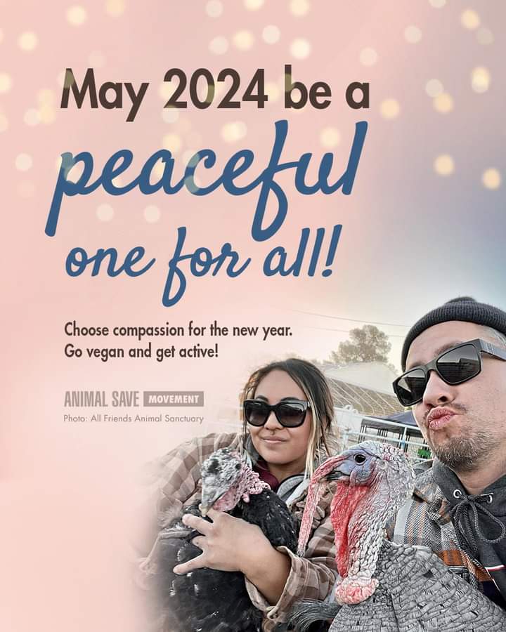 Los Angeles Animal Save tweet media