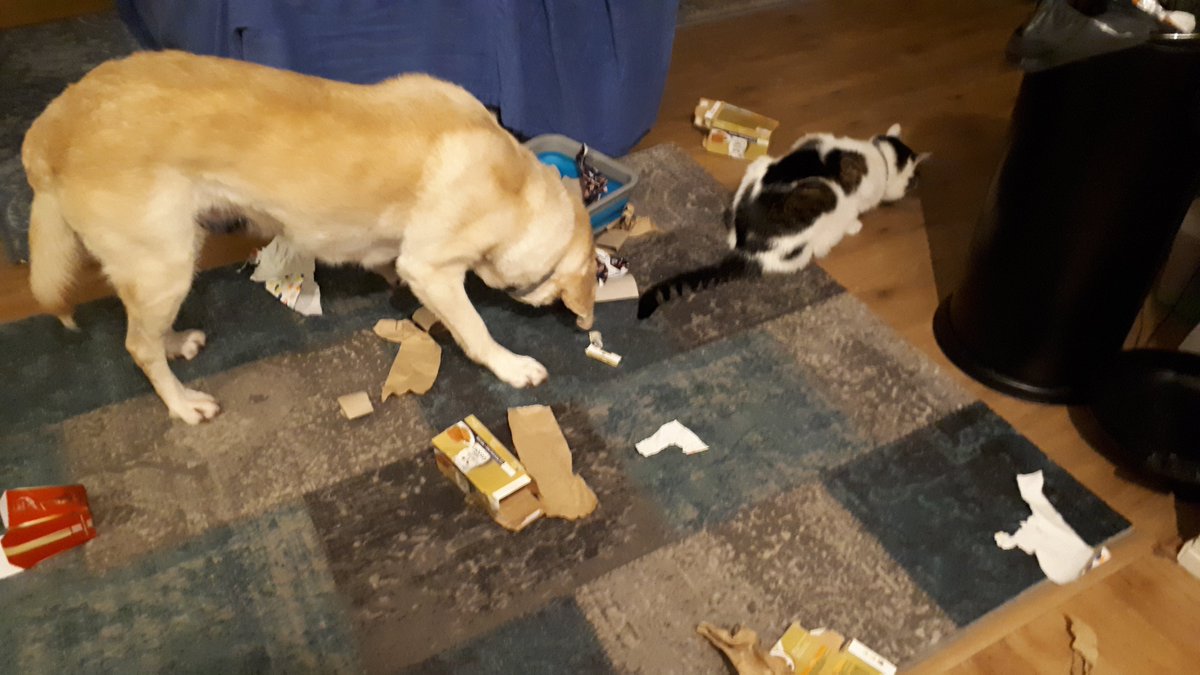 ImkeSingingintherain tweet media