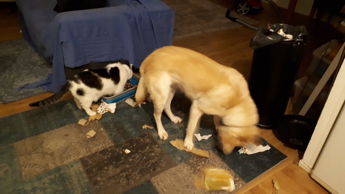 ImkeSingingintherain tweet media