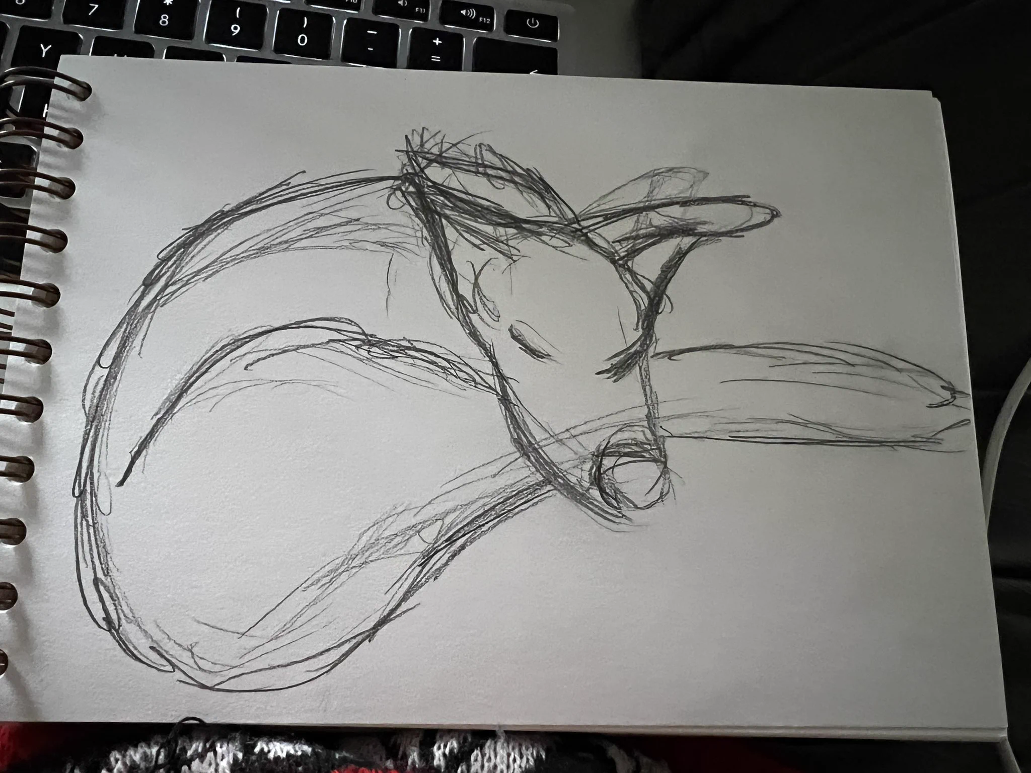 A quick rough sorry of the puppy curled up with her head laying across am outstretched leg