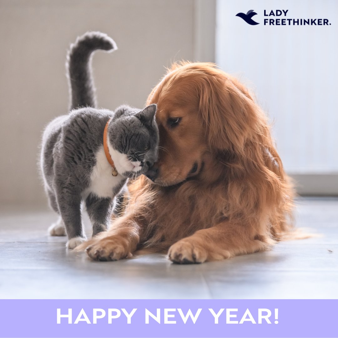 LadyFreethinker's tweet photo. In 2023, Lady Freethinker helped CATS & DOGS by:
-feeding #cats & #dogs around war-torn Kharkiv & Kyiv, #Ukraine
-funding medical care/food for cats & dogs in #Turkey after earthquakes
-campaigning to #unchaindogs and bring #companionanimals indoors
-and more! https://t.co/2P9cz1cFYO