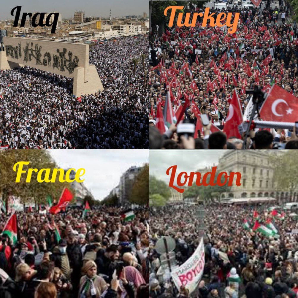 🚨🇵🇸 The WHOLE WORLD stands with PALESTINE!