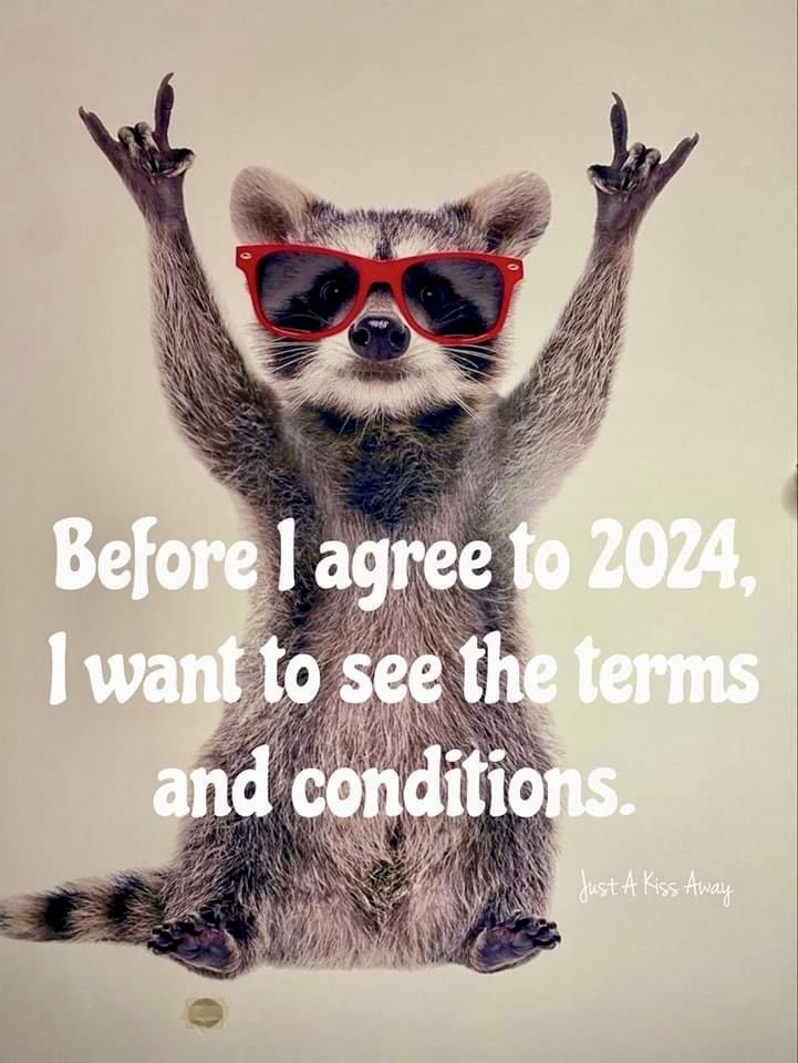 Yes please… 🦝😎😁 #2024