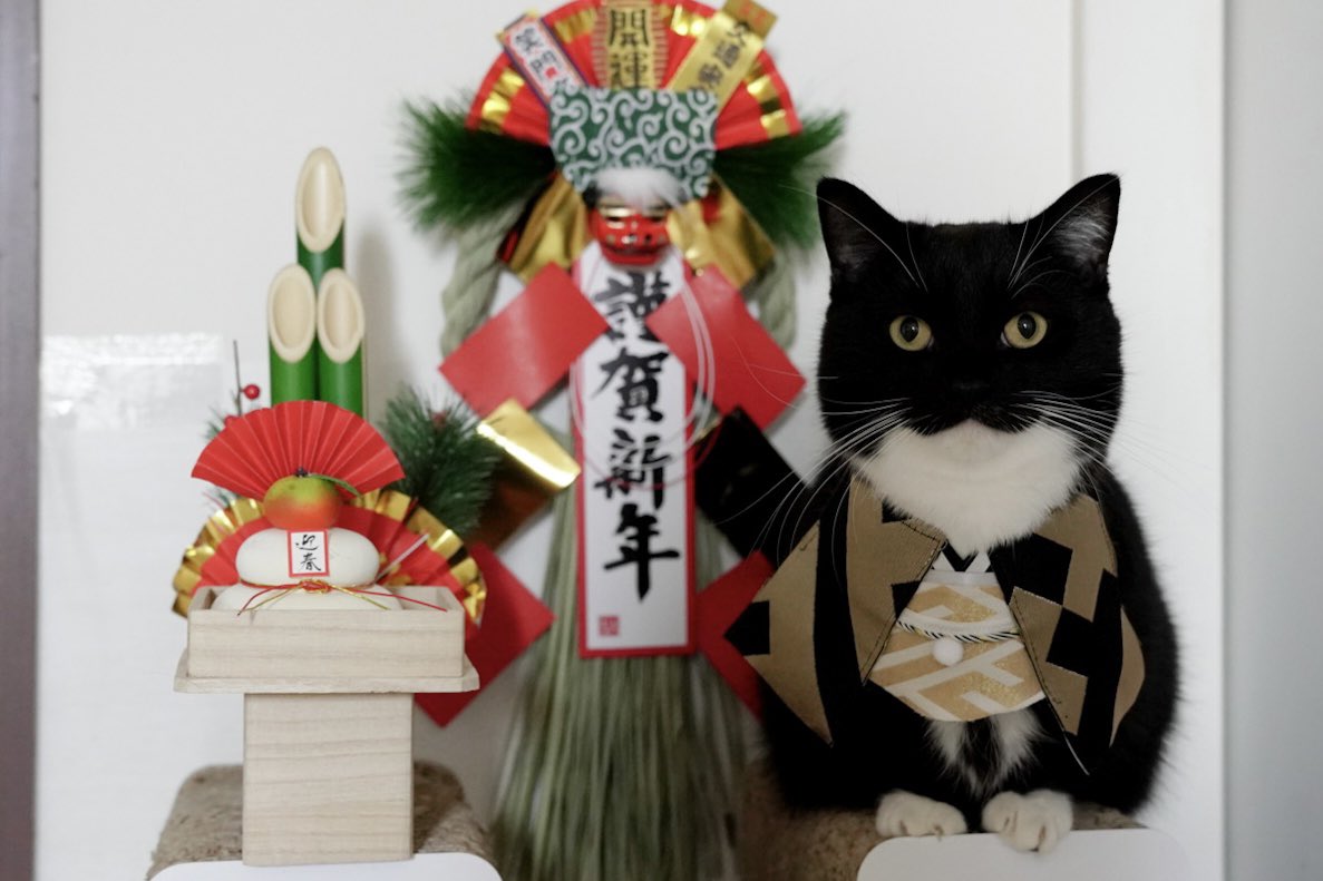 unicouniuni3's tweet photo. あけましておめでとうございます！
今年もよろしくお願いします✨

Happy New Year!
May this be a happy and fruitful year :3 https://t.co/FO62ugDCHb