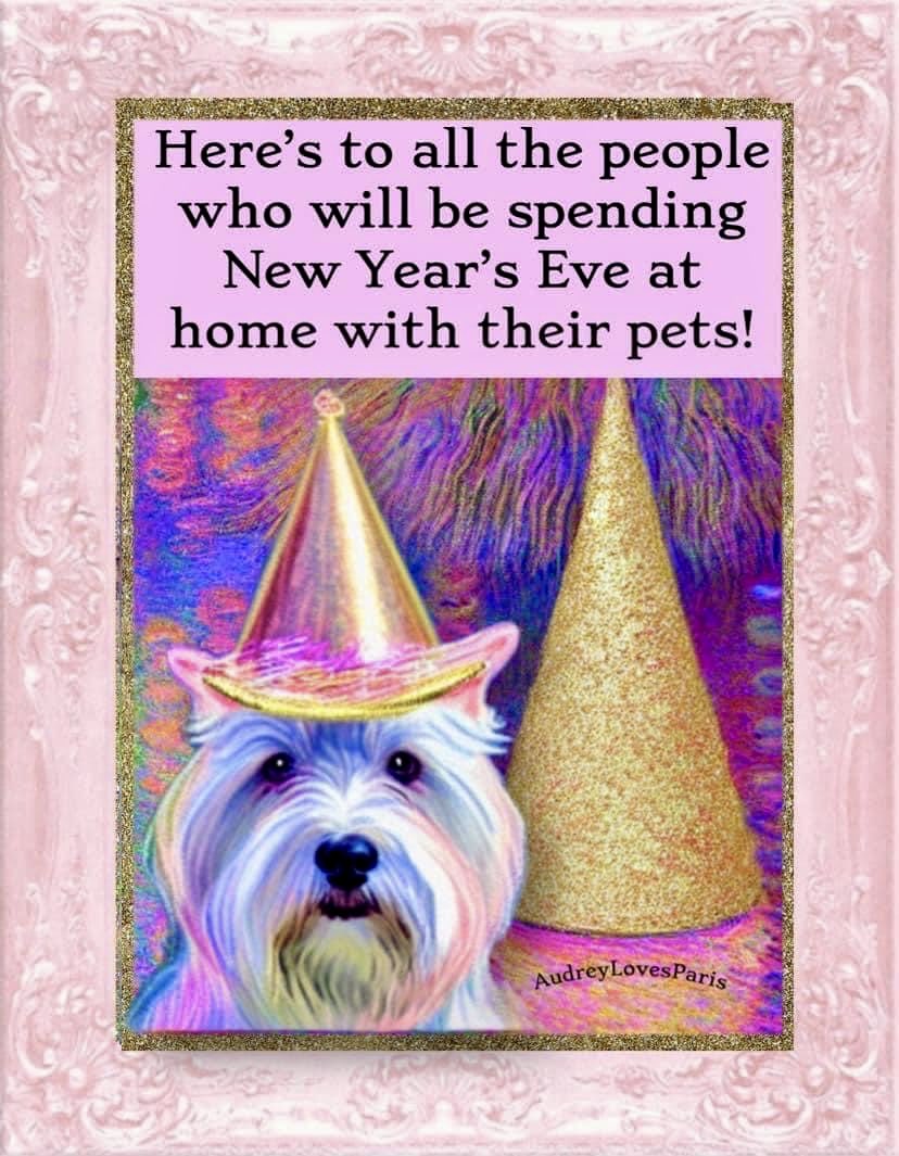 Cheers! 🐾🥳 #pets #newyearseve