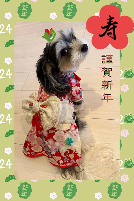 https://t.co/DhdQh6eytn<a href="/tag/%E5%86%99%E7%9C%9F%E9%9B%86"class="tags"><span>#写真集</span></a><a href="/tag/%E3%83%97%E3%83%AC%E3%82%B9%E3%83%86%E3%83%BC%E3%82%B8%E5%87%BA%E7%89%88"class="tags"><span>#プレステージ出版</span></a>