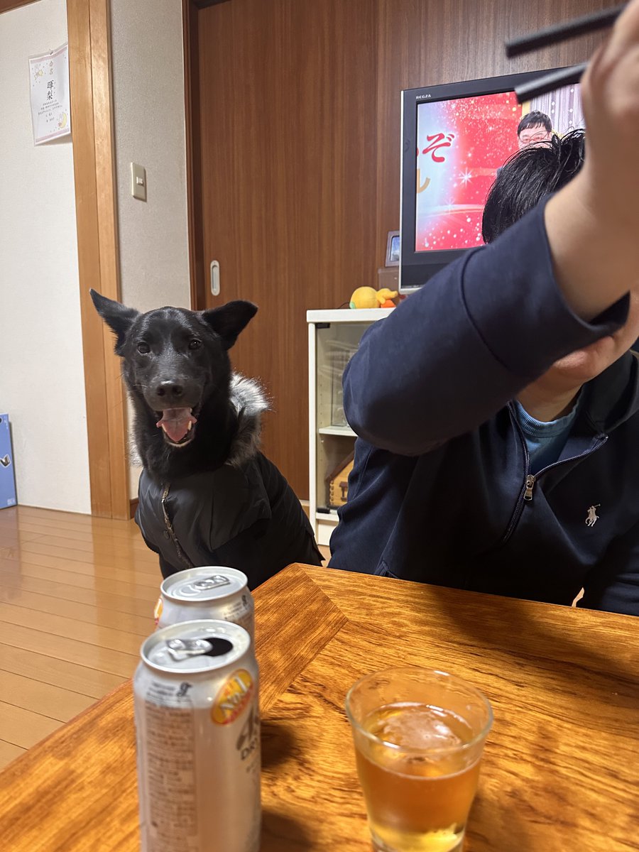 明けましておめでとうございます🎉

2024年もよろしくおねがい致します！
れっしょんファミリー、ますます楽しく、そして不遇のわんこたちにはますます優しく、やっていきたいと思います🐕‍🦺🐕‍🦺🏃‍♂️🏃‍♀️💨