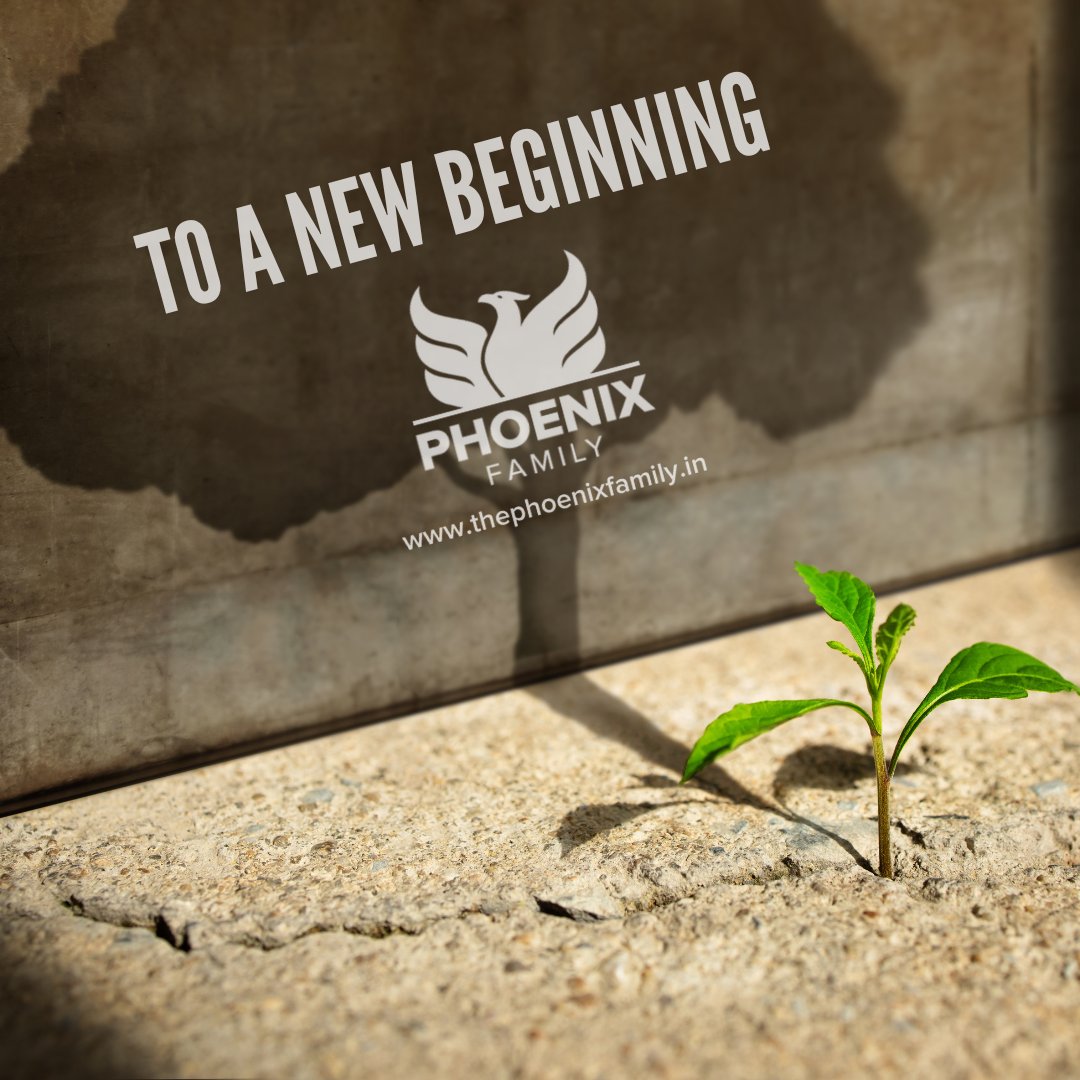 PhoenixFamilyin's tweet photo. As we bid farewell to the old and embrace the new, The Phoenix Family wishes you a year filled with hope, strength, and new beginnings. 

#singleparents #singleparent #singleparenting #widow #widower #divorce #divorced #separated #singleparentlife #widowlife https://t.co/fYX3wPADI3