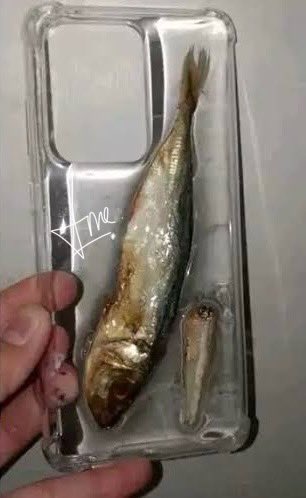 <a href="/vadharta/">Arta.</a> Keren juga case hpnya. 🥹