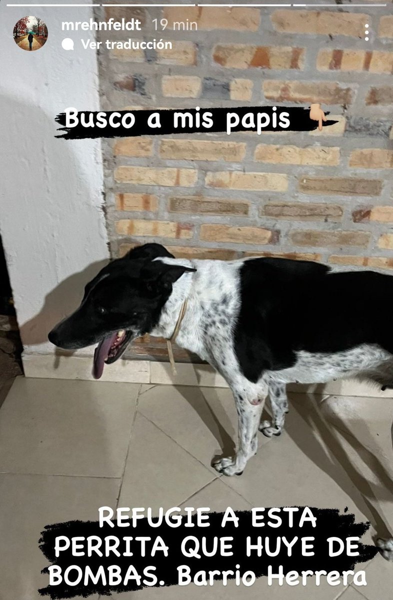 Tanaf02's tweet photo. Rt 🙏URGENTE para encontrar a su familia! https://t.co/qRUDXSwWcv