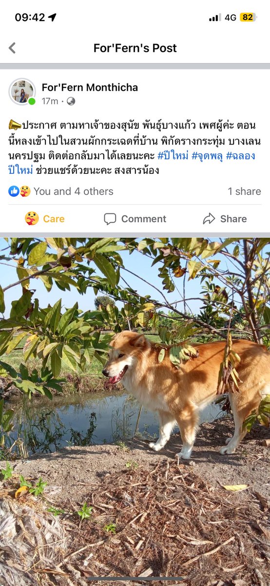 ttmita tweet media