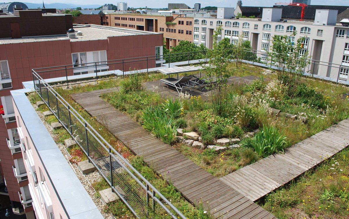 Leseerlaubnis's tweet image. Wenn die #Grünen die Wahlen gewinnen würden, würden die Reichen und Superreichen wieder faire Steuern bezahlen, kein Kind müsste in Armut leben, Schulen wären intakt und die Energiewende würde so laufen, dass die Ärmsten von der Gesellschaft mitgenommen werden würden. 

Die…