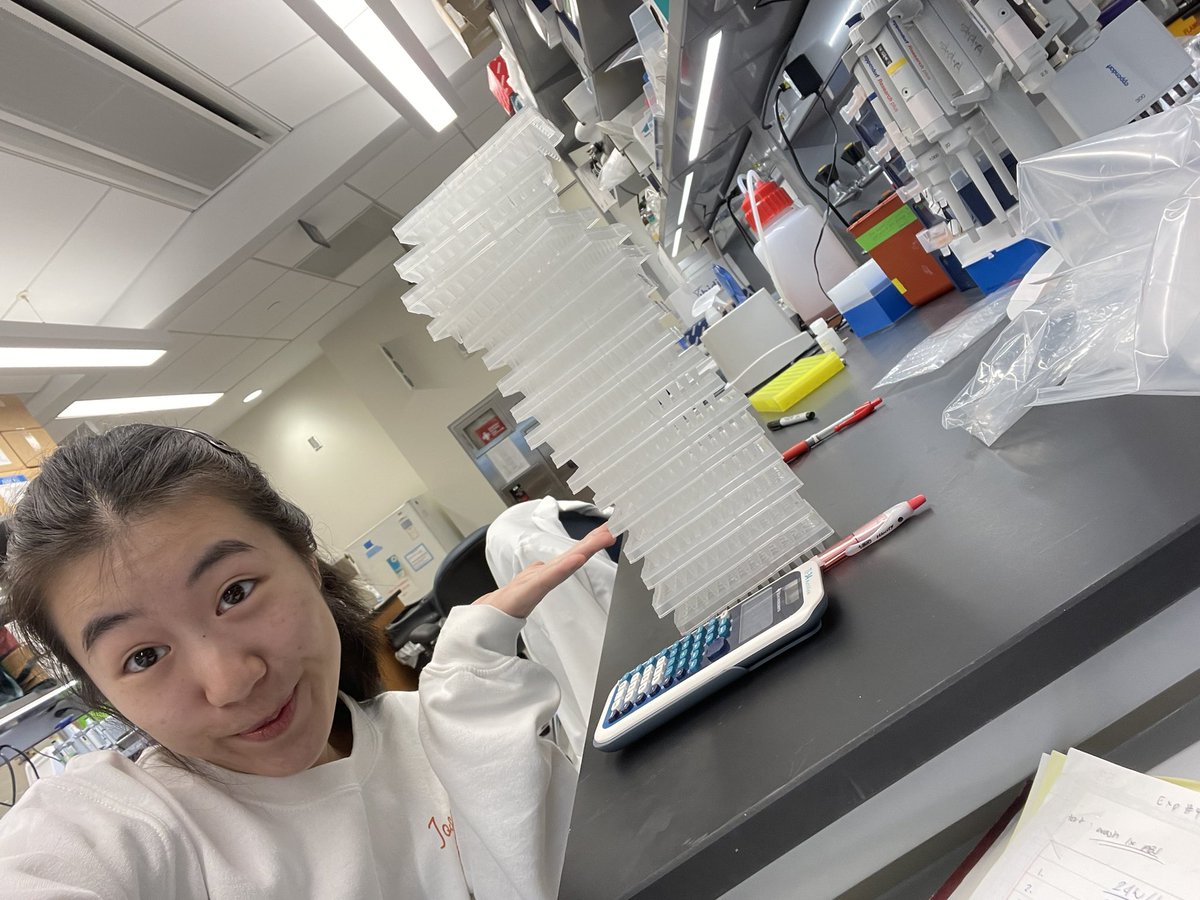 probpipetting's tweet photo. Cheers to the fantastic year of 2023! 🥂

Closing the chapter of my undergrad at @nyuniversity with a successful honors thesis defense and early graduation 🥳
Saying goodbye to the Berger and Barrett labs that practically raised me @NYULHCVRC 💜💜.

Grateful is an understatement! https://t.co/j2qqxfLfG6
