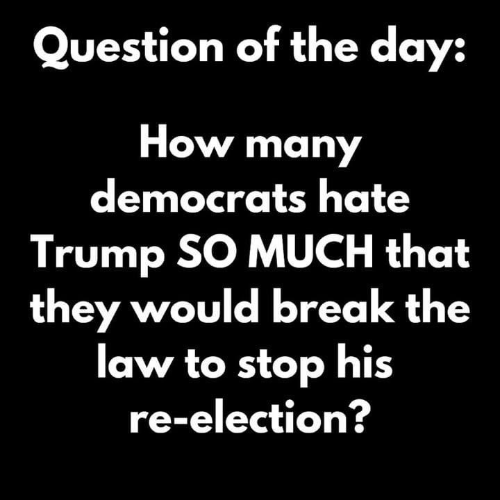 Maga Conservative Dr Ken Dabb tweet media