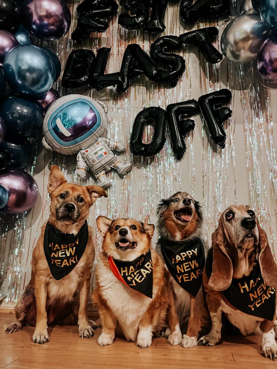 RobbyGilpin's tweet photo. @LoneStarNYE @NBCDFW Watching from @RowlettTexas these are the pups that all the bad guys want @bfsrocks

#LoneStarNYE https://t.co/r9SGMQEun2