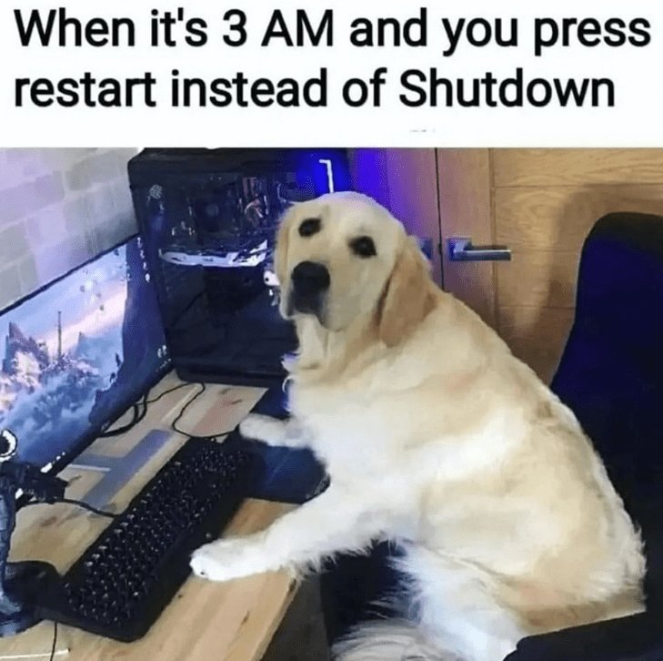 RyanEls4's tweet image. 😂🤣😂🐕