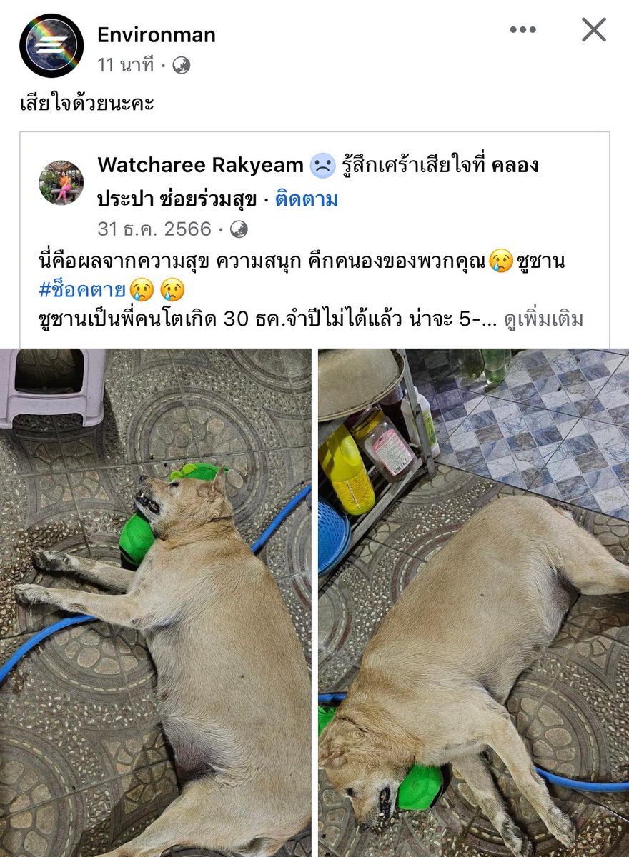 tonnyhahaha's tweet photo. พูดไม่ออกเลยอะ คนรักหมาใจสลาย😭
หมาก็เหมือนคนในครอบครัวอะ ตายไปก็เหมือนคนในบ้านหายไปคนนึง พวกสนุกบนความทุกข์ของคนอื่นนี่พอได้ยัง https://t.co/xSCnbuitqJ