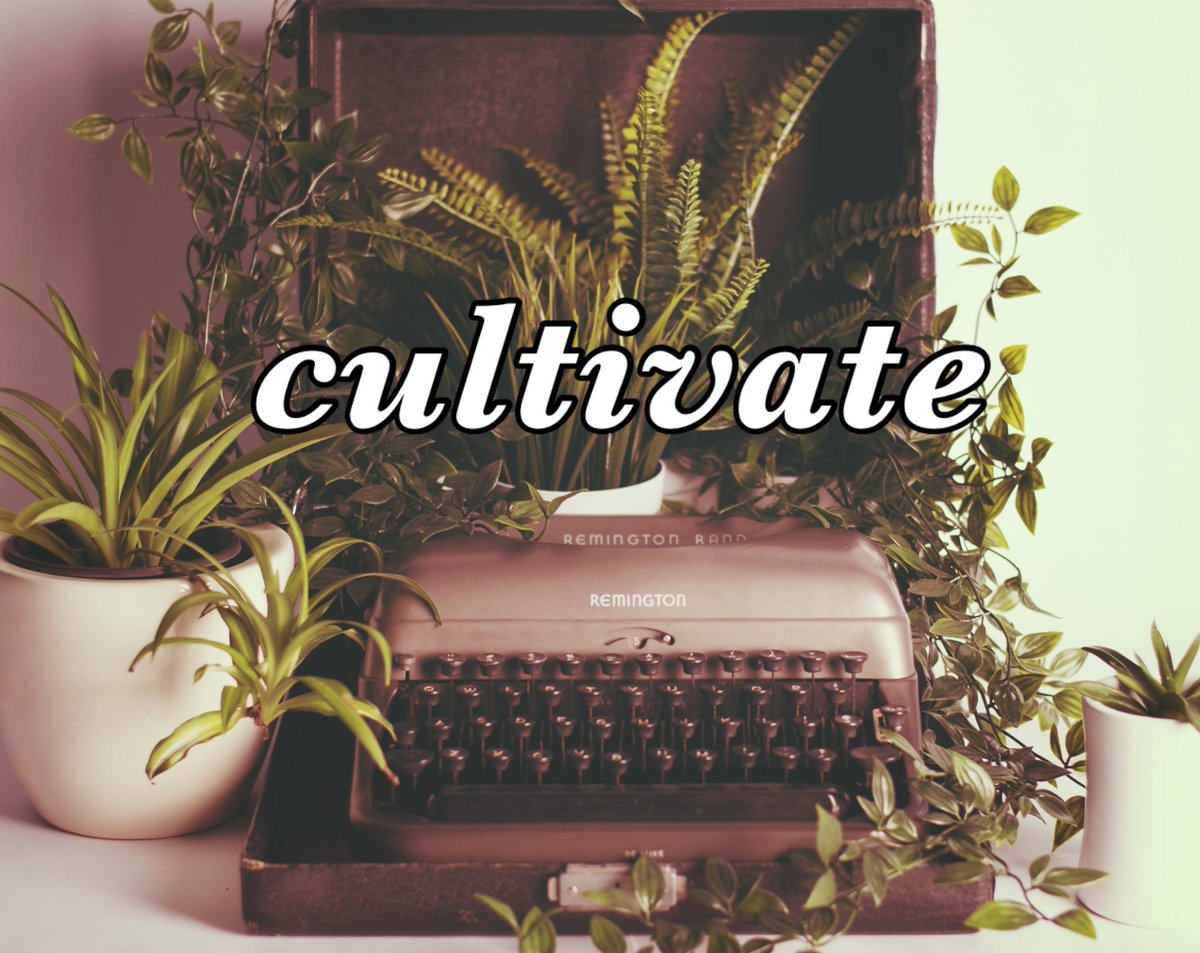 Cassie Miller is on Insta 🩷 tweet media