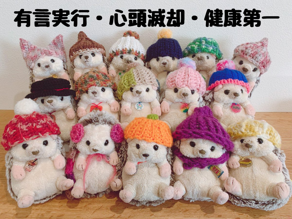 SHIMArisuko_'s tweet photo. 今年もがんばります。
皆さまにとっても良い1年になりますように。
#ぬいぐるみ
#ハリネズミ
#サンレモン
#フラッフィーズ
#みたち
#みたらし
#みんな大好き https://t.co/STMYKi3V9Y