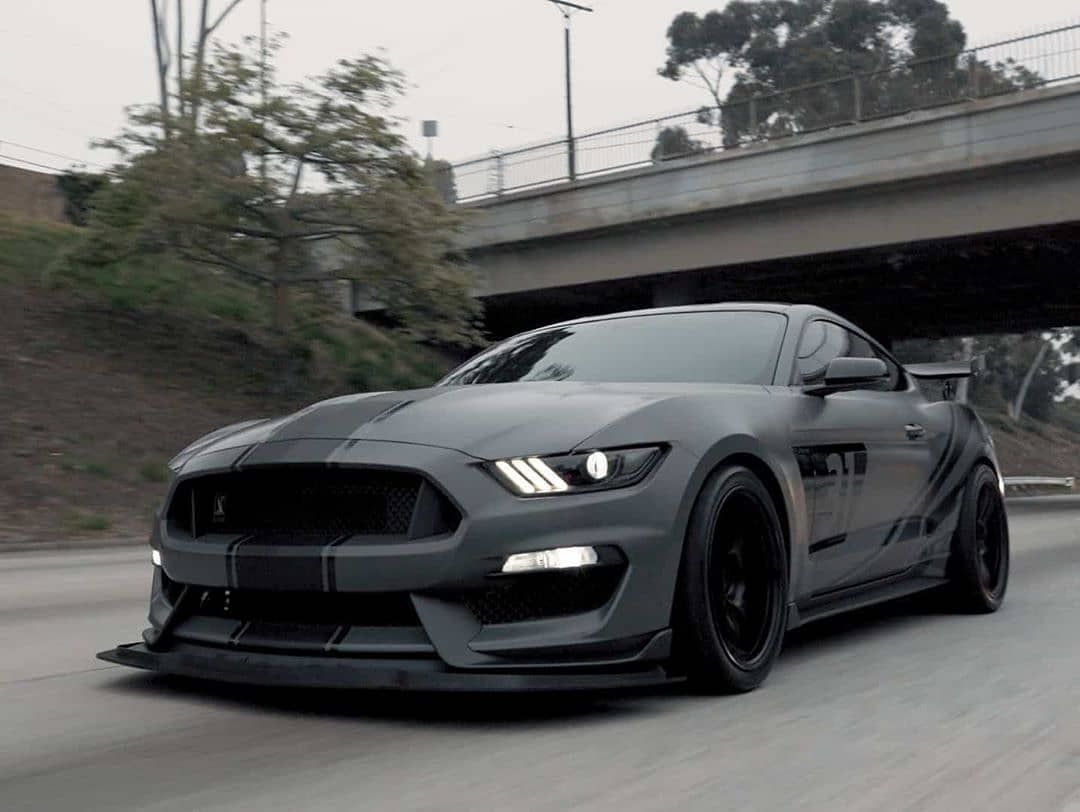 Mustang 😍