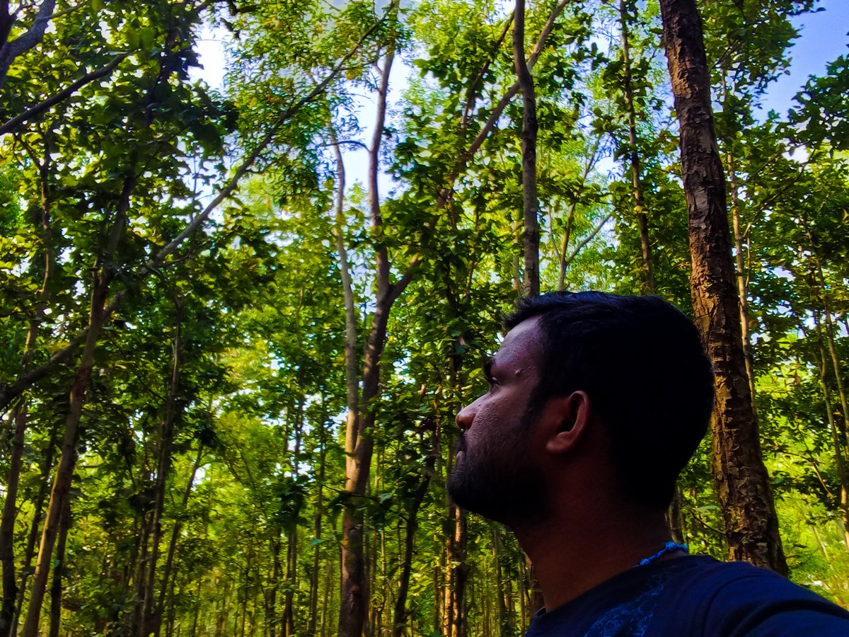 VickyMinz8's tweet photo. हम क्यों बचना चाहते हैं?
जब जंगल की फ़िक्र न हो
और जंगल क्यों काटना
जब आपकी भ्रष्टाचारी से
ख़ूब पेट भर रहा हो
~Vicky minz 'इंजोत'

#SaveHasdeo
#हसदेव_जंगल_बचाओ
#हसदेव_बचाओ_आदिवासी_बचाओ
@MinzNilofar
@KusumBhil https://t.co/6pJ6k4ZGYd