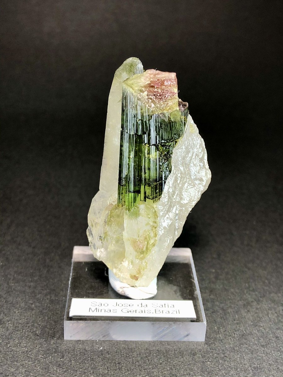 boutsu08's tweet image. あけましておめでとうございます。新年っぽいイベントはこれからなので門松感のあるトルマリンをどうぞ。