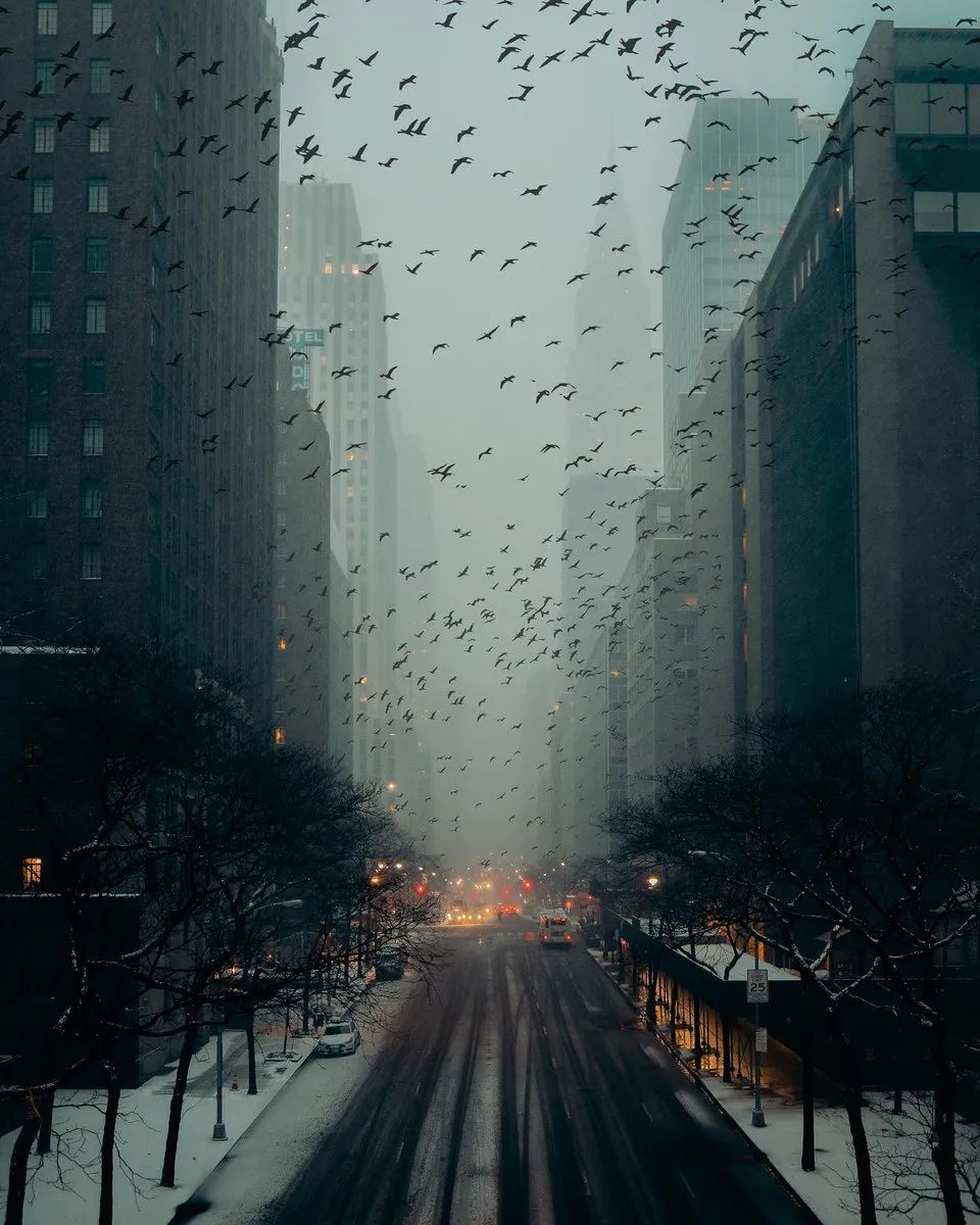 RaminNasibov's tweet photo. Manhattan by Ray H. Mercado https://t.co/Dttx5DnDHU