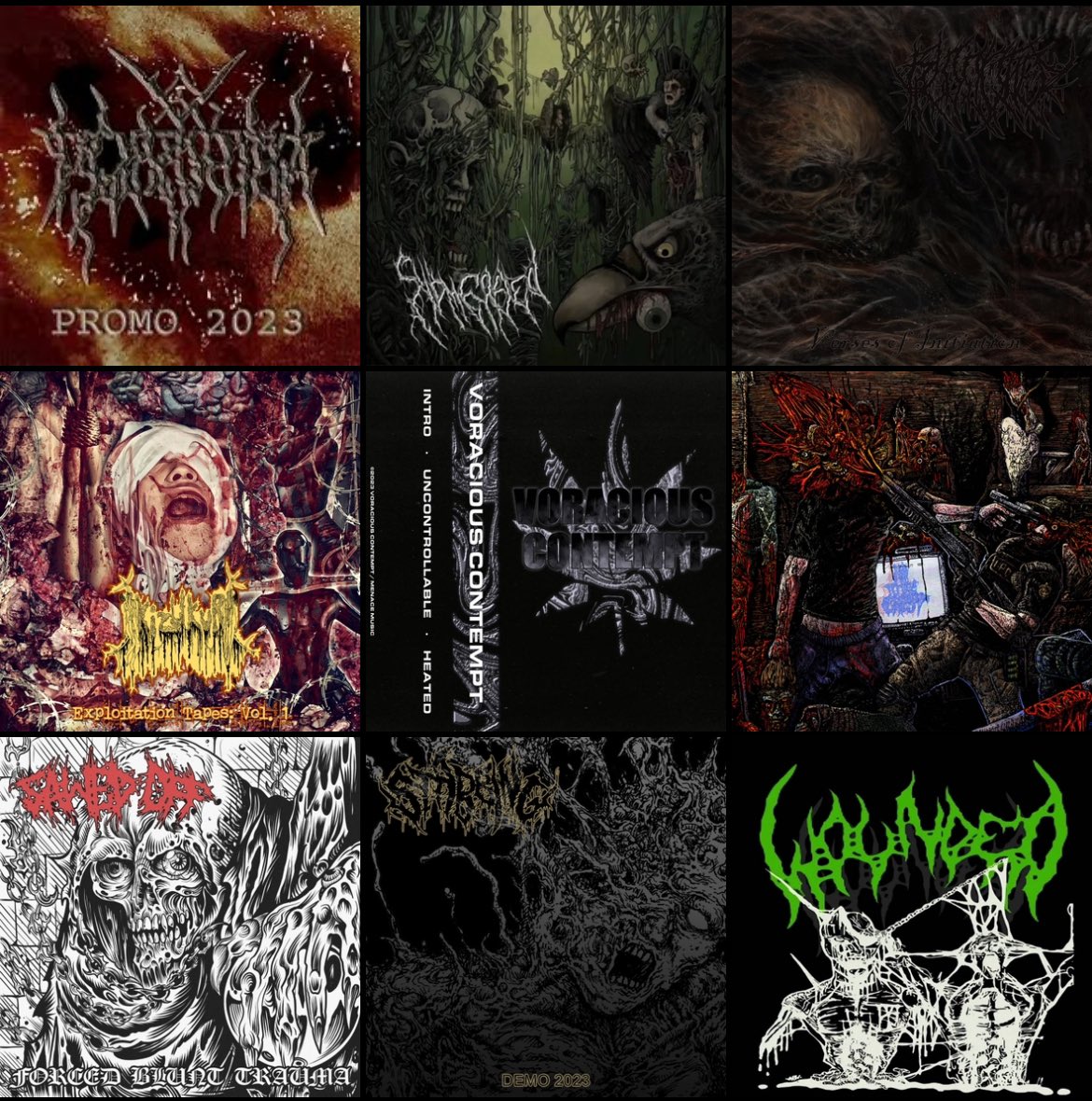 maggotstomp's tweet photo. My favorite shit you might not have heard. The Virologist demo cd has been in constant rotation. That new Bloodtied demo smokes. https://t.co/DeNXPYf7Ls