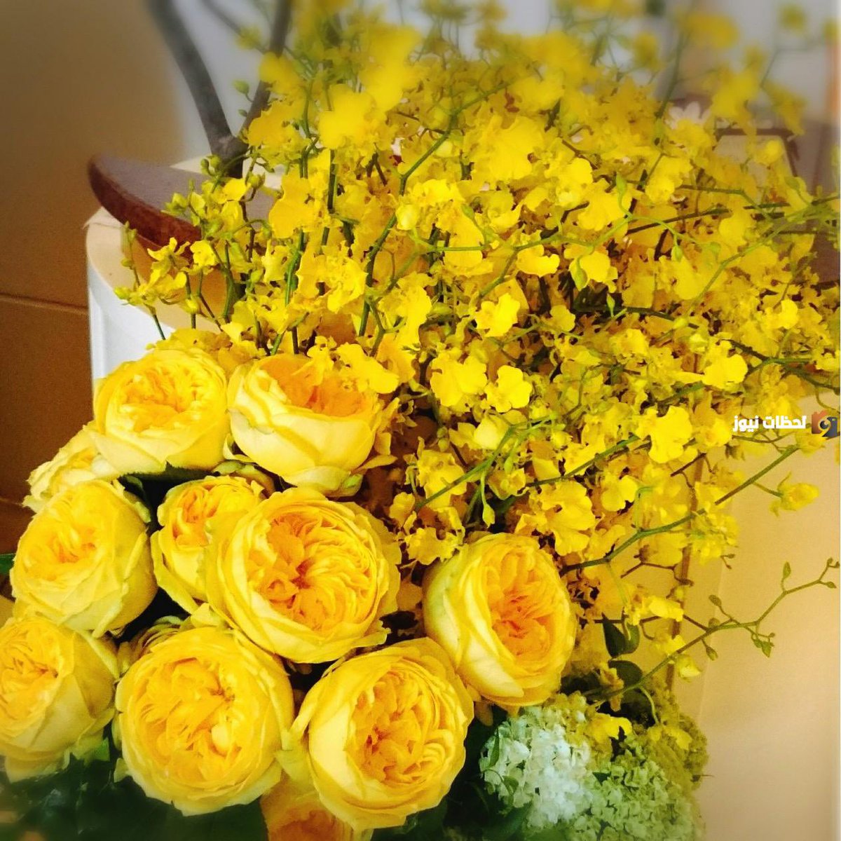 اللهم اجعلنا ممن قيل لهم ،،،،،،

((. اليوم أحلّ عليكم رضواني ، فلا سخط عليكم بعده أبدآ…. ))

#صباح_الخير