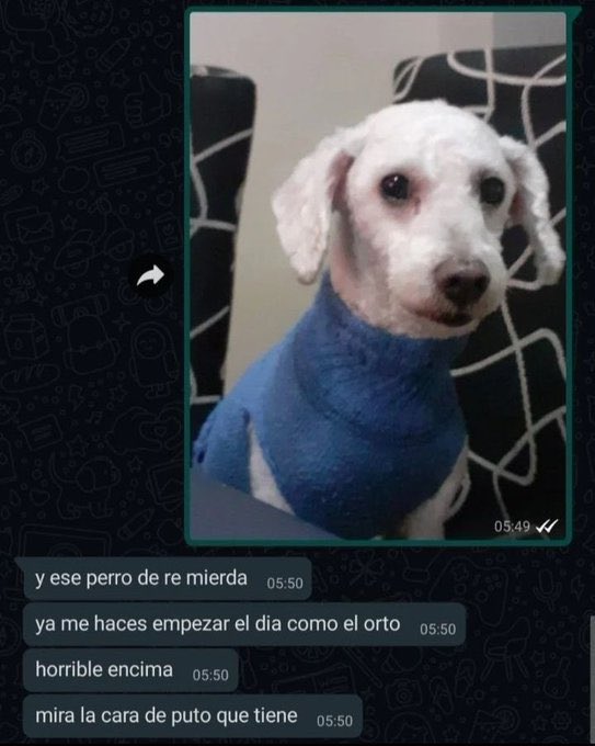 ElJuli_24's tweet photo. @sindicatodedom4 https://t.co/Jido5wEFAT
