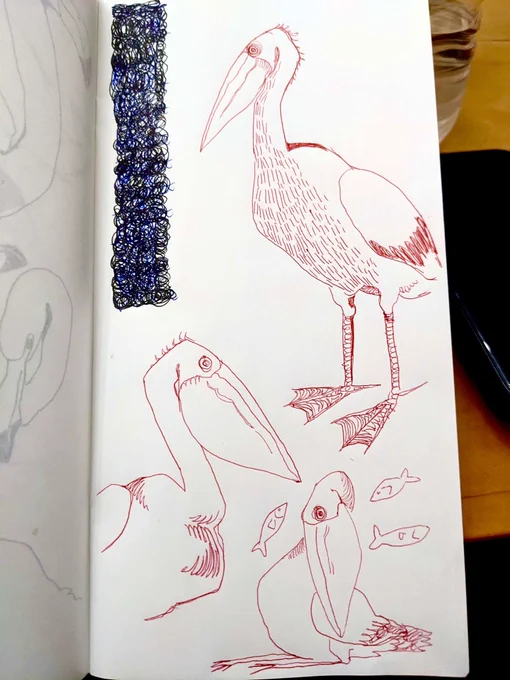 let's all draw birds for the new year