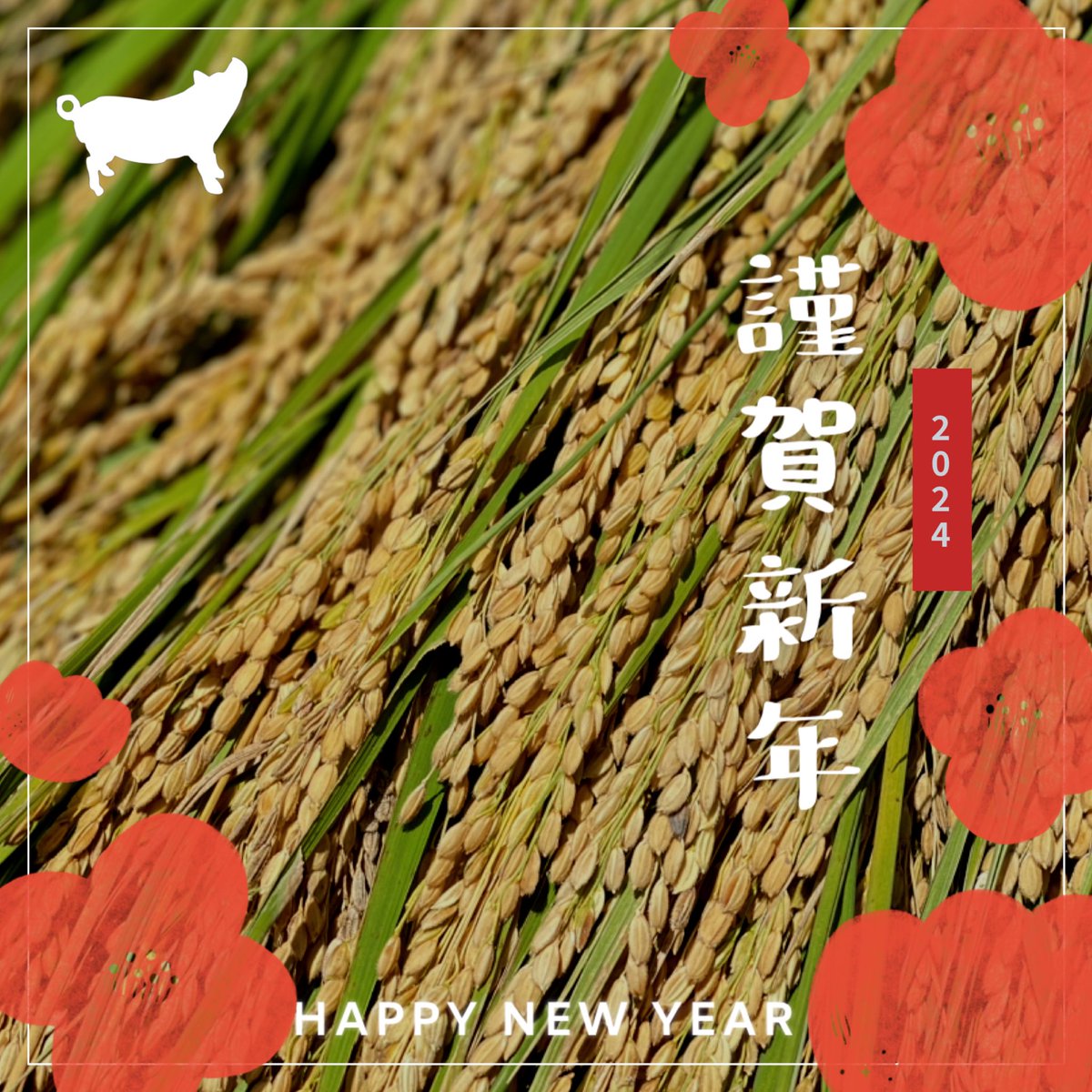 HAPPY NEW YEAR🎍
昨年は本当にいろいろとありがとうございました🍀たくさんの素敵なご縁に感謝です✨✨
今年はより一層美味しいお米やお野菜を育てたいと思ってます🍅🌾
本年もよろしくお願いします🙇‍♀️
#奥京都 #京都小林ふぁーむ #福知山