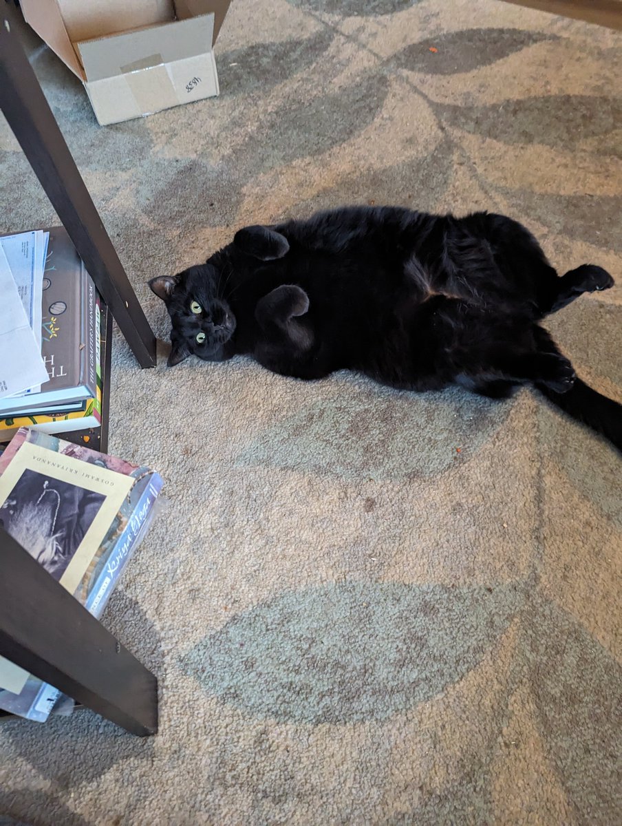 <a href="/lizzielulu_/">Tree Lawn Girl</a> Fluffhead