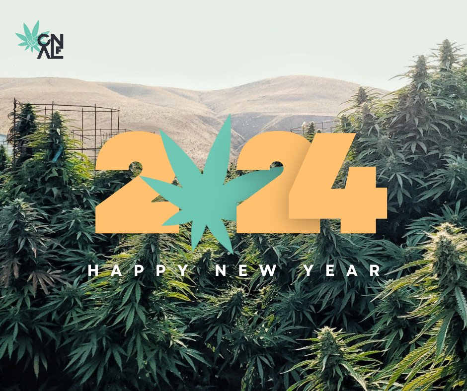 CannalifeCo's tweet photo. Happy New Year from the CannaLife fam!

This is going to be the most impactful year yet!

#Cannabis #Hemp #Accessibility #CannaLifeCulture https://t.co/xfw070Qly5