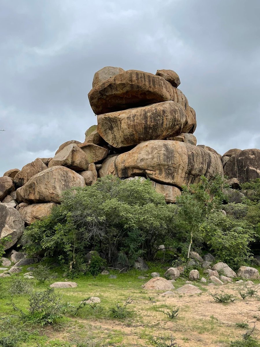 A Happy New  Year to  all my amazing connections ;  I am because we are