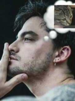 ilyshines's tweet photo. @danc4you foco fé e perseverança 😂 kk https://t.co/lb3YTlQP80