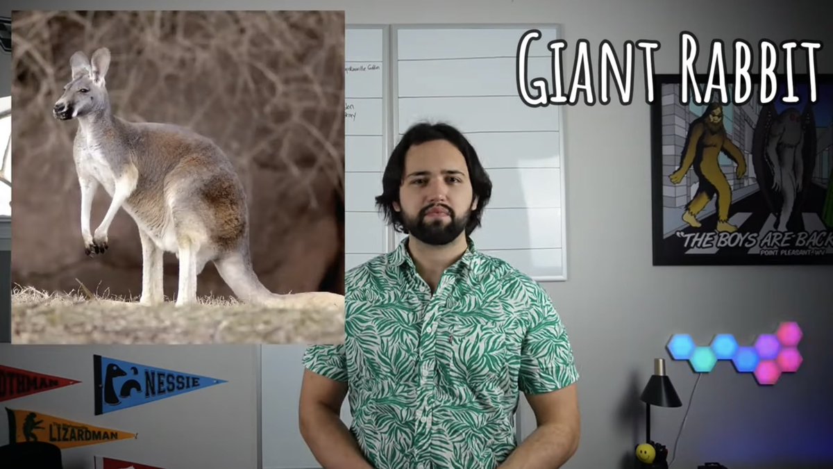 Happy New Year’s, new cryptid video is live. This is your only context, link below.