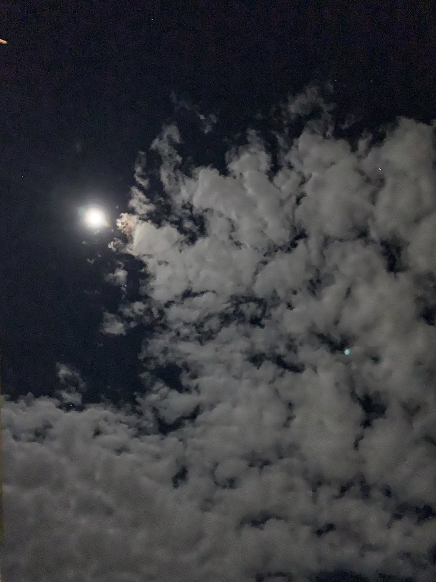 𝐃𝐚𝐧𝐢 𝐌𝐞𝐧𝐝𝐢𝐨𝐥𝐚 tweet media