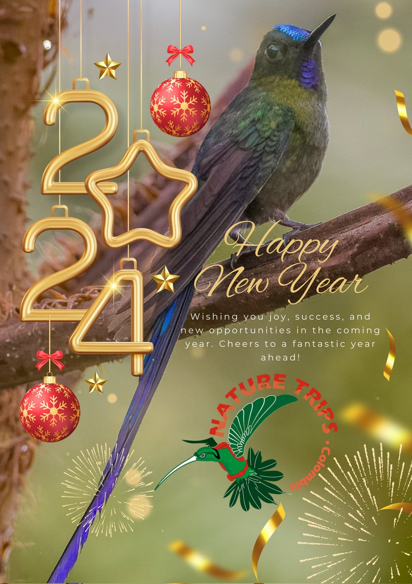 naturetripscol's tweet photo. Seguimos en este maravilloso camino del turismo, haciendo las cosas bien cada día, aportando por la sostenibilidad y la regeneración de nuestros destinos. Les deseamos un feliz año nuevo, con gran prosperidad para todos.
#felizanonuevo2024 https://t.co/xvB2aLeMyX